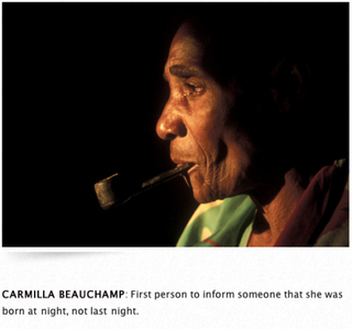 Illustration for article titled Satirical Blog Offers Up Little-Known Black History Facts